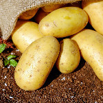 Unlocking the Nutritional Power of Potatoes