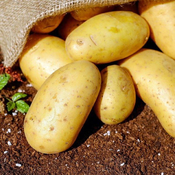 Unlocking the Nutritional Power of Potatoes